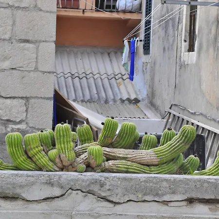 Modern In The Center Apartmán *