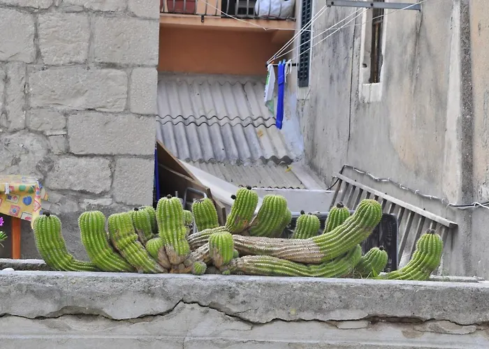 Modern In The Center 公寓 *