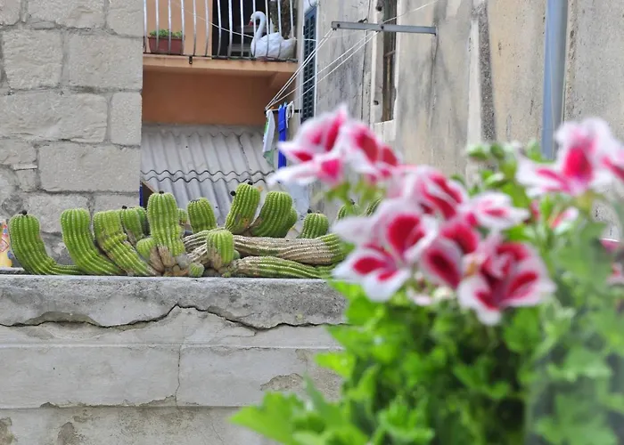 Modern In The Center * 斯普利特